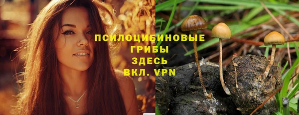 дживик Осинники