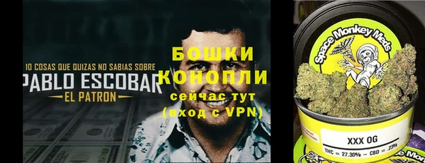 дживик Осинники