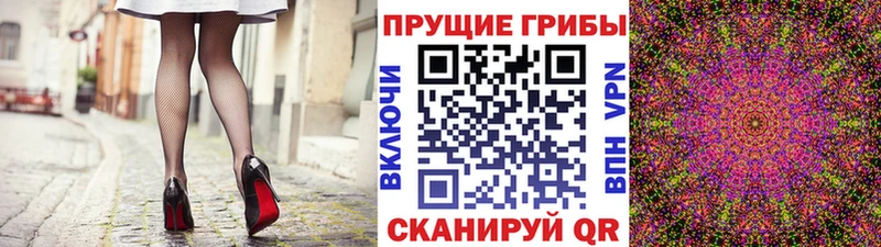где найти наркотики  Инсар  Галлюциногенные грибы Cubensis 